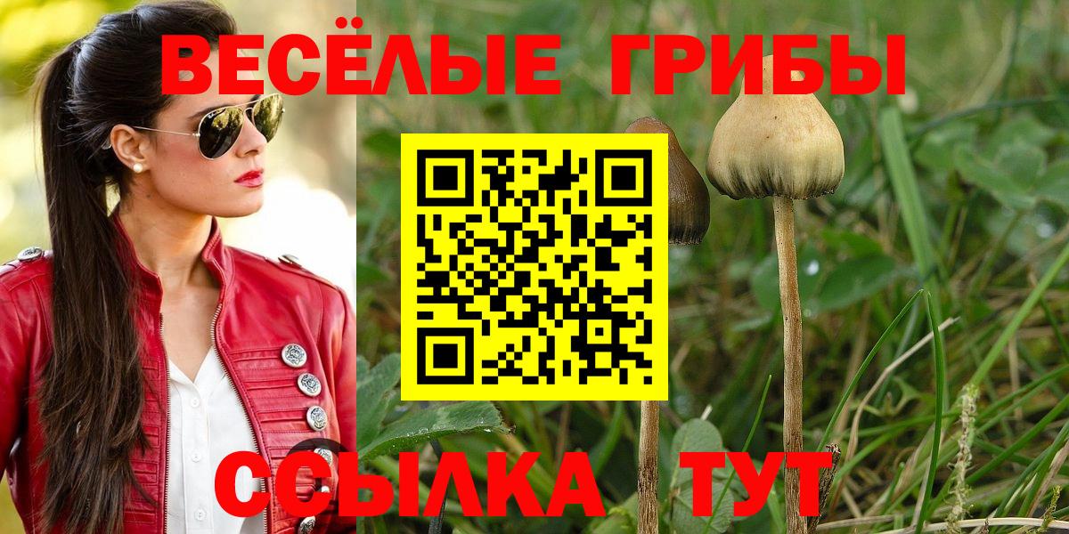 Псилоцибиновые грибы Psilocybine cubensis Ставрополь
