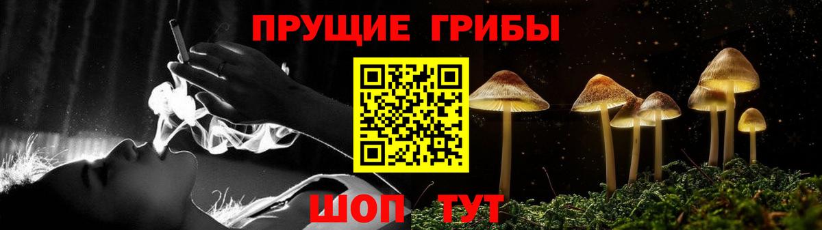 Ставрополь  Псилоцибиновые грибы Psilocybe  Вход с VPN 